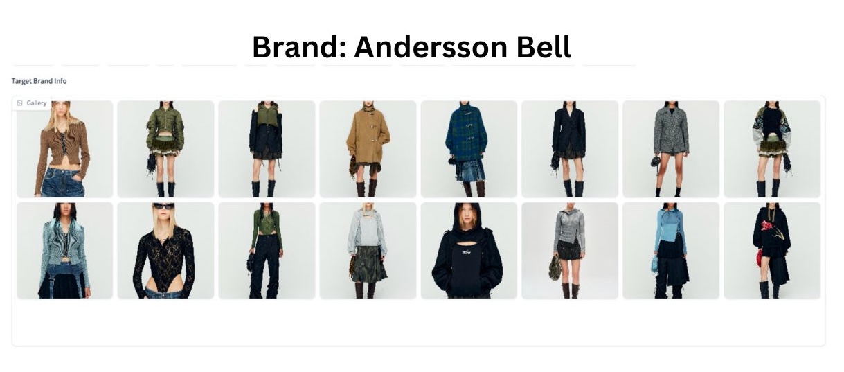 Fashion AI for Brands Recs